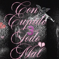Con Cupido Todo Mal 3 (feat. JOACO SB) - Single - MUQERMX