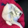 Know I Have To Sleep