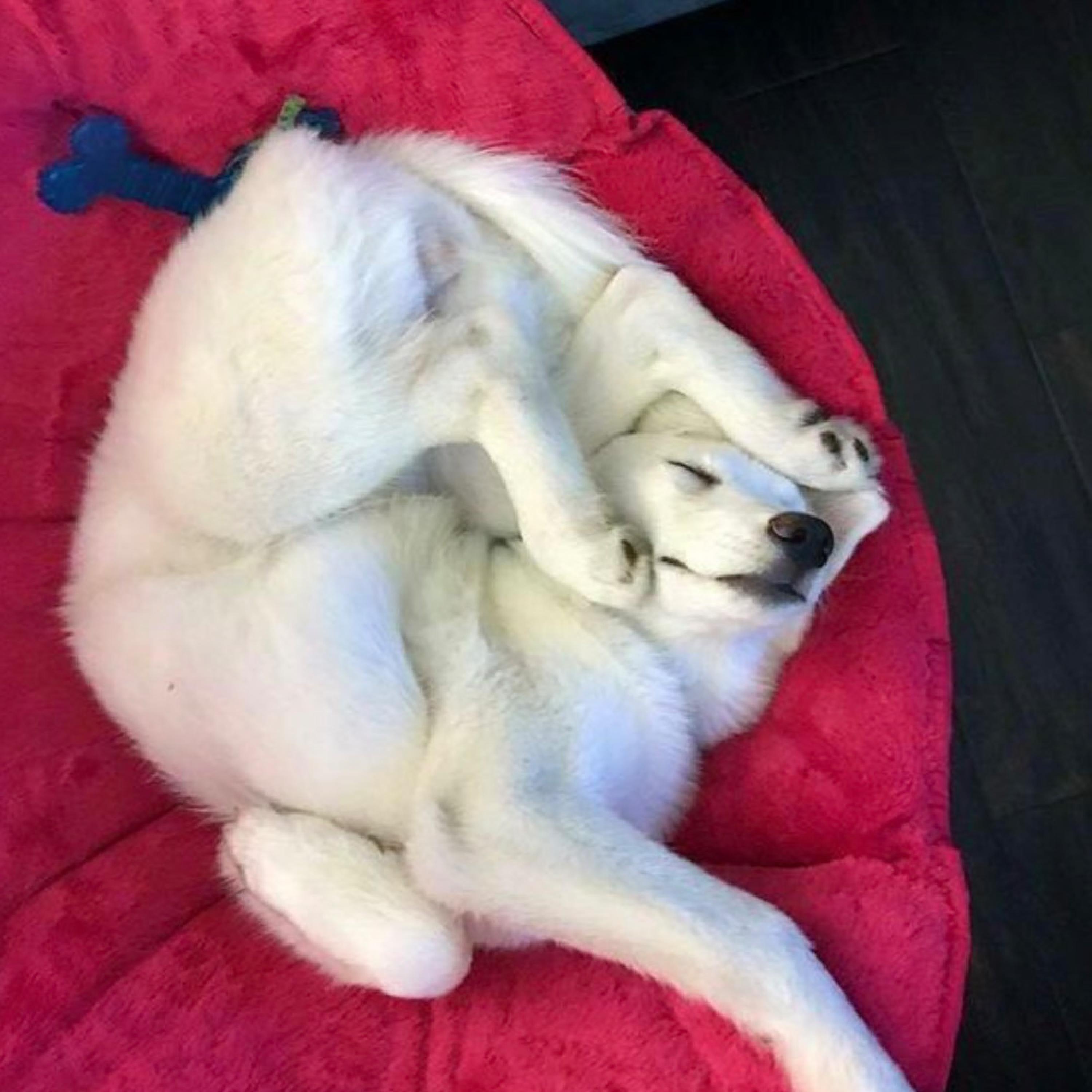 Know I Have To Sleep - Single