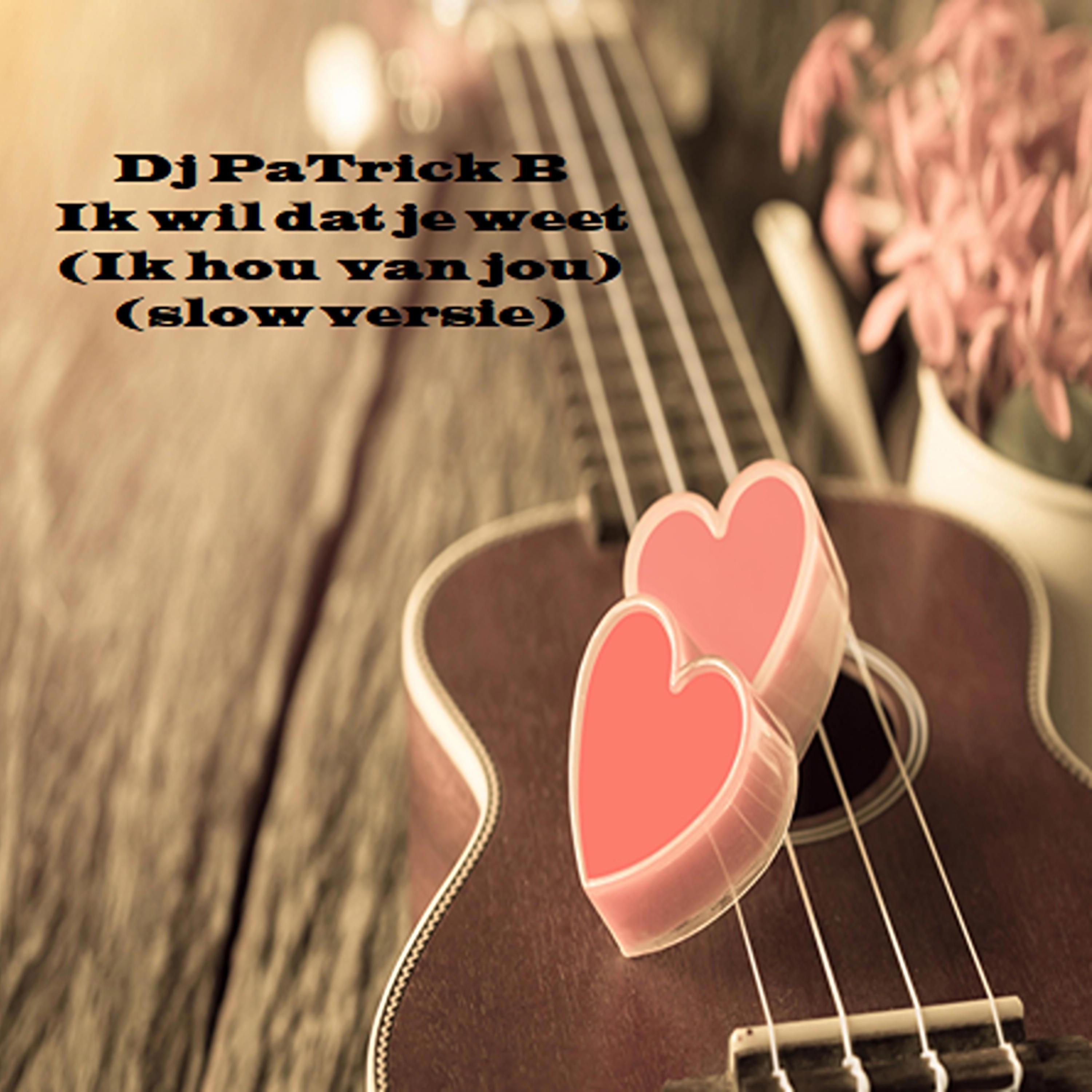 IK wil dat je weet (ik hou van jou slow versie) - Single