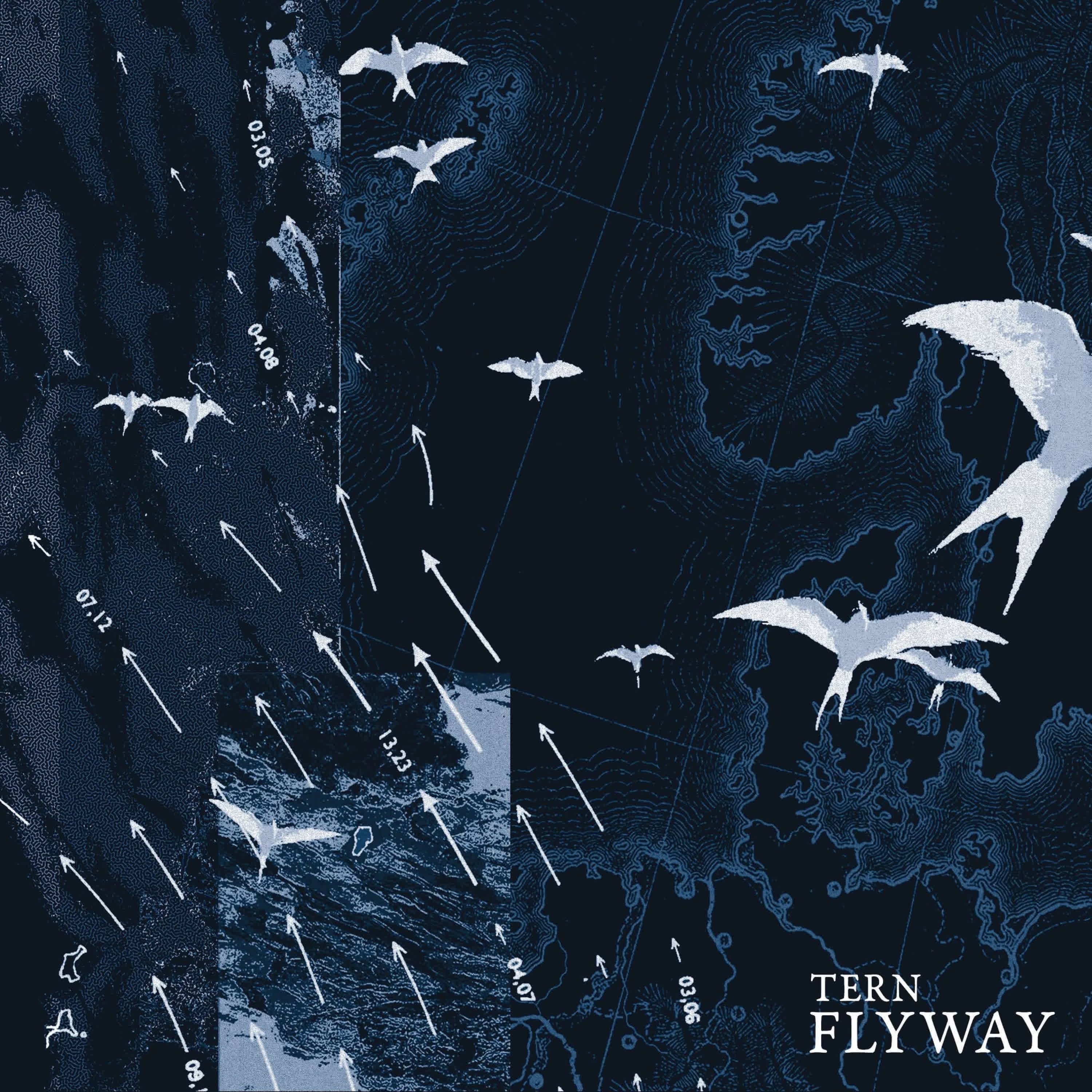 Flyway