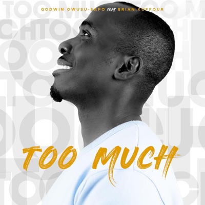 Too Much (feat. Brian Kuffour) - Single