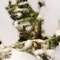 how it feels to leave the city - moneo lyrics