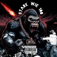 STARK WIE 100 - Single - JNTRZ
