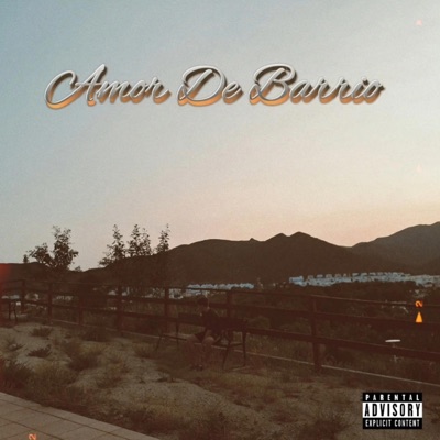 Amor De Barrio (feat. 0DRAMA) - Single