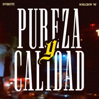 Pureza y Calidad (feat. El Invidente) - Single - Soulcrow 98'