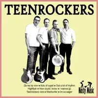 Got a lot of rhythm — Teenrockers