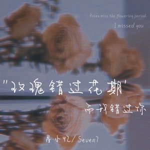 玫瑰错过花期 而我错过你