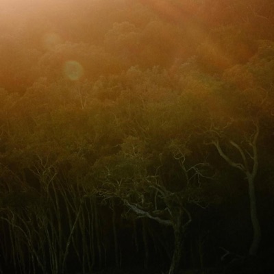 3ashan ashoof | عشان أشوف (feat. Youssef ElBeshlawy) - Single