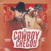 Gabriel Sales & DJ Ari SL - O Cowboy Chegou