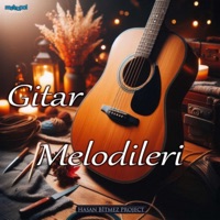 Gitar Melodileri - Hasan Bitmez Project