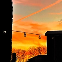 Die Young - Single - Swat