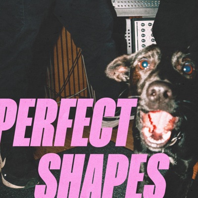 Perfect Shapes (feat. Irene Tieso) - Single