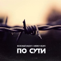 По сути - Single - Железный Акцент & Andrey Volnyi