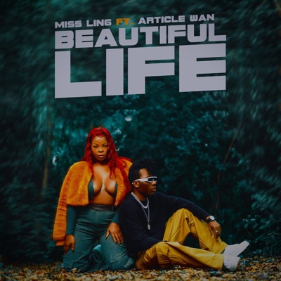 BEAUTIFUL LIFE (feat. Article wan) - Single
