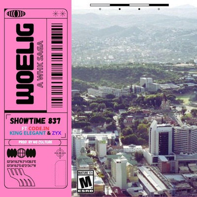 WOELIG (feat. CODE.IN, KING ELEGANT & ZYX) - Single