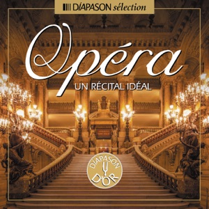 The Merry Widow: Vilja