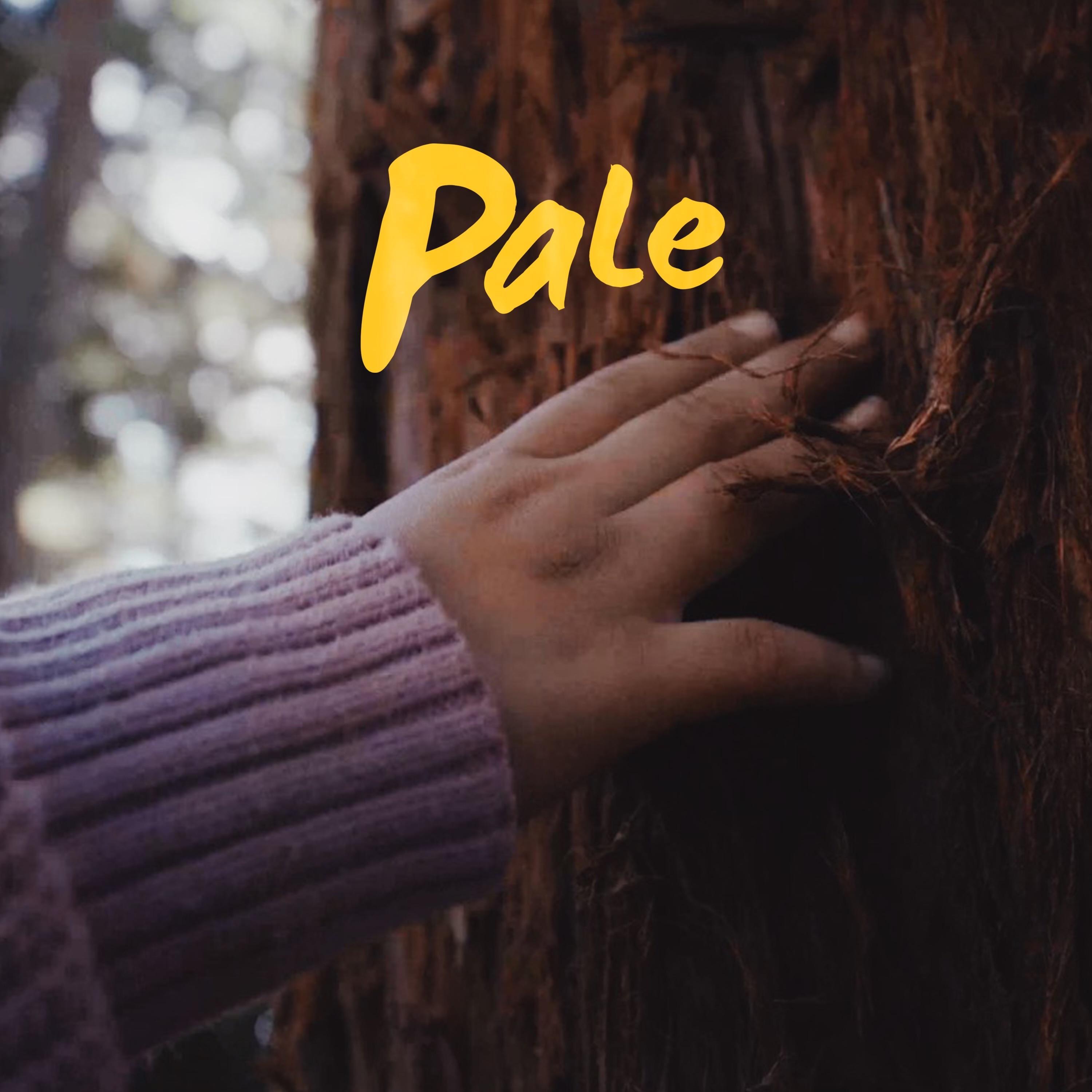 Pale - Single