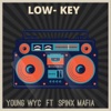 Lowkey - Single (feat. Spinx Mafia) - Single