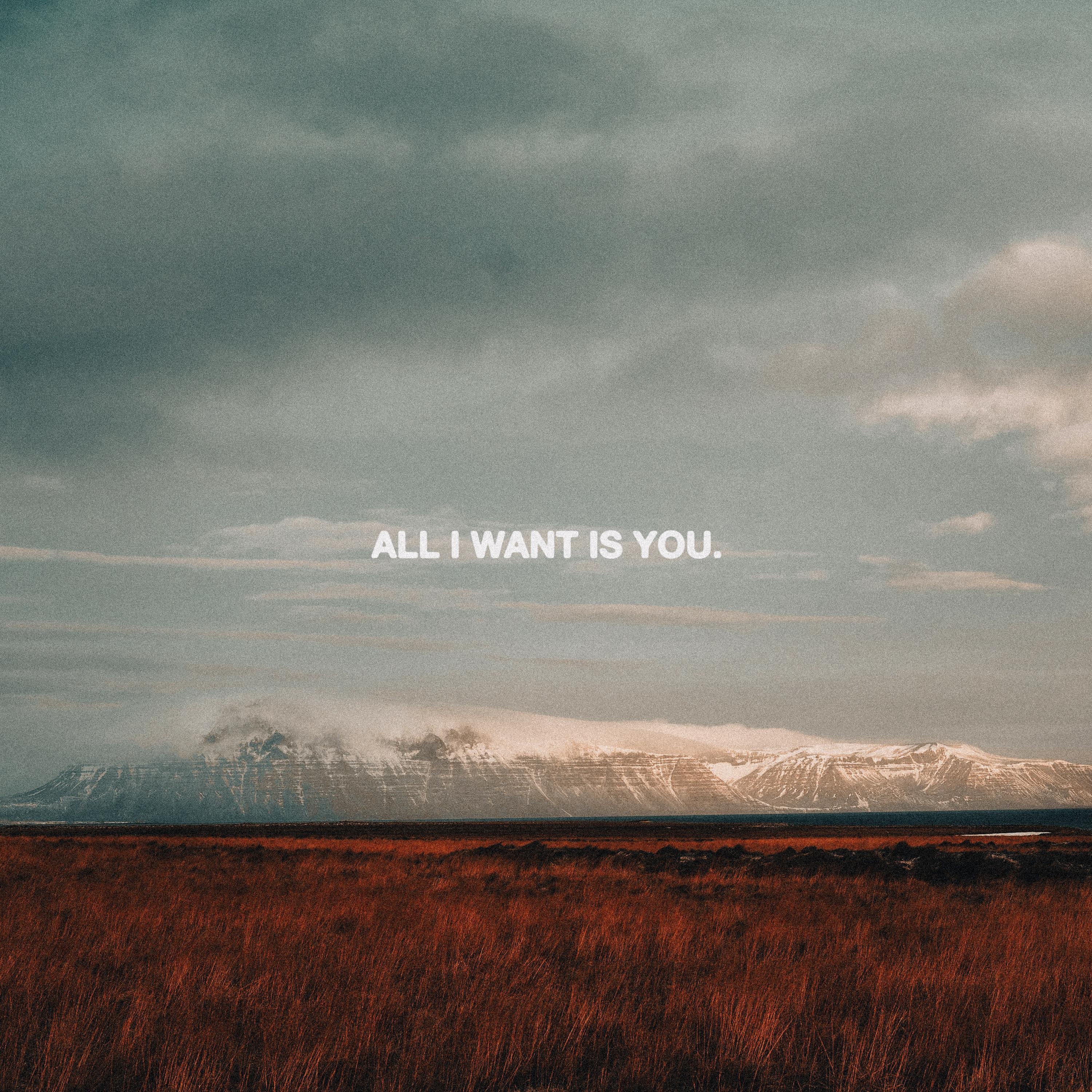 ALL I WANT - Single