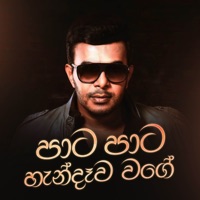 Pata Pata Handawa Wage - Single - Roshan Fernando