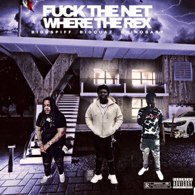 Fuck the Net Where the Rex