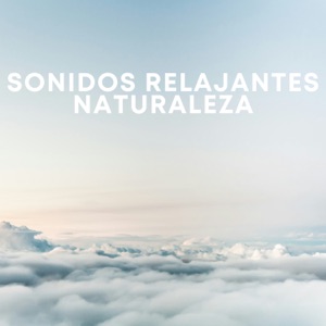 Sonidos Relajantes Naturaleza