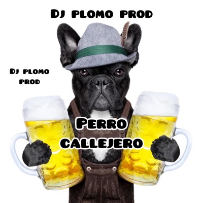 Perro Callejero - Single