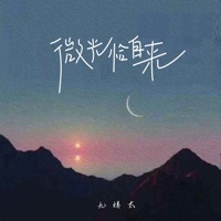 微光恰自来 - Single - 九姨太