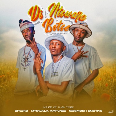 Dintshwara Botse (feat. Poobington) [Official Audio] - Single