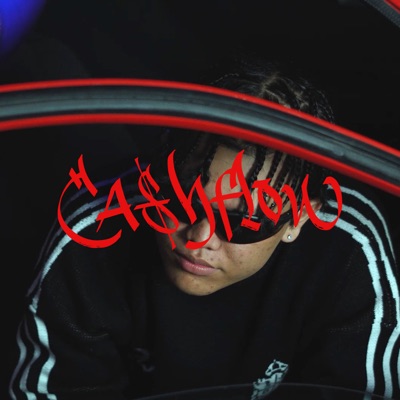 CA$H FLOW - Single