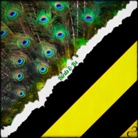 Birds & Bs (Censored) - Single - M.N.I.W