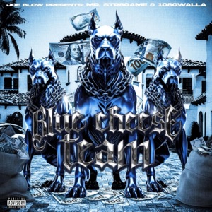 Joe Blow Presents Blue Cheese team - EP