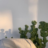 disappear - Single - matebusi