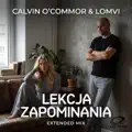 Lekcja Zapominania