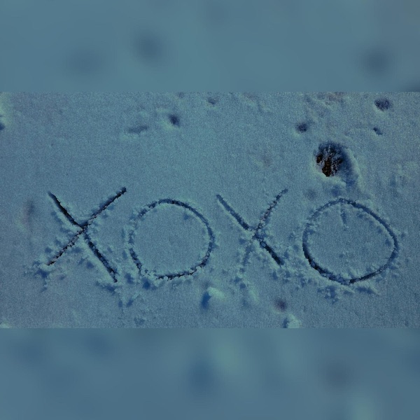 sNo.days