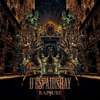 D'ESPAIRSRAY - Rapture - EP bild
