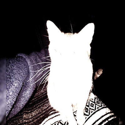 HATE YOU! (feat. Wikuro, D1na, Yancrak.01 & phant0m) [remix] - Single