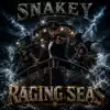 Raging Seas