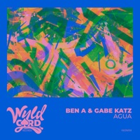 Agua - Single - Ben A & Gabe Katz