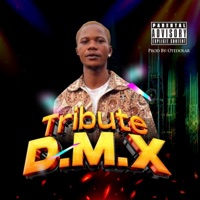 TRIBUTE TO D.M.X - Single - loveday