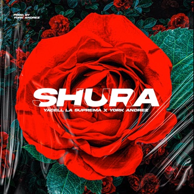Shura - Single