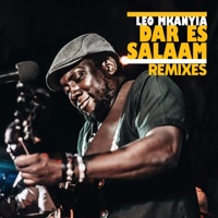 Dar Es Salaam (feat. Second Test) [Remixes] - EP - Leo Mkanyia