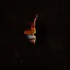 Ekhymosis - El Reflejo