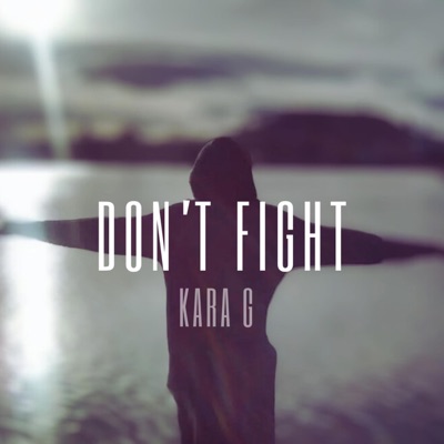 Don't Fight - Single