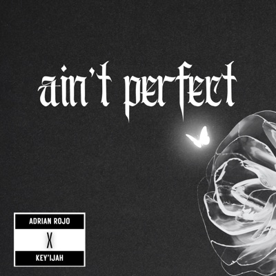 Ain't Perfect - Single