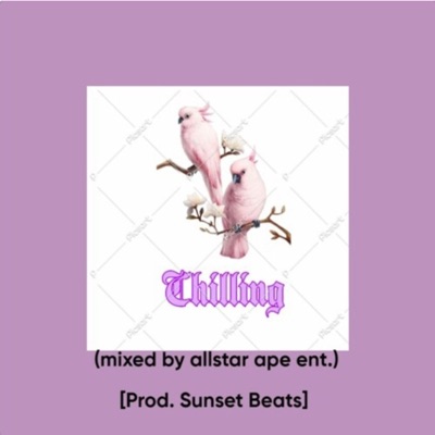 Chilling (Mixed By Allstar Ape Ent.) - Single