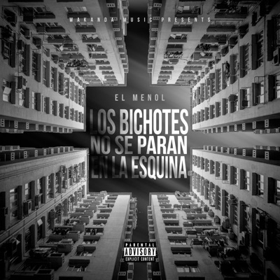 Los bichotes no se paran en la esquinaother version (Other Version) - Single