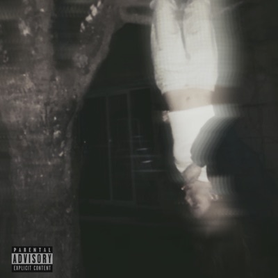 Usd - Single