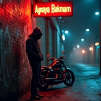 Aynaya Bakmam (feat. Kobra) - Single - Money Baba